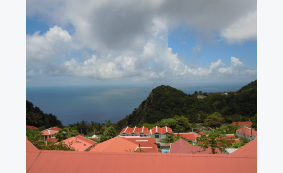 Well Established Saba Hotel REDUCED!
