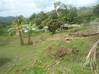 Photo de l'annonce Sainte Luce terrain de - Terrain de. Sainte-Luce Martinique #1