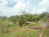 Photo de l'annonce Sainte Luce terrain de - Terrain de. Sainte-Luce Martinique #2