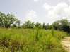 Photo de l'annonce Terrain plat constructible de 850 m². Petit-Bourg Guadeloupe #0