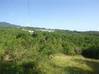 Photo de l'annonce Bouillante, grand terrain idéal. Bouillante Guadeloupe #2