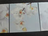 Foto do anúncio Orquídeas de ikea três tabelas São Bartolomeu #0