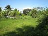 Photo de l'annonce Sainte Rose - Terrain plat de 1257 m² -.. Sainte-Rose Guadeloupe #2