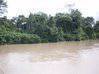 Foto do anúncio Terrain sur la rivière de Counamama Iracoubo Guiana Francesa #2