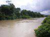 Photo de l'annonce Terrain sur la rivière de Counamama Iracoubo Guyane #3