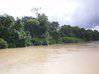 Foto do anúncio Terrain sur la rivière de Counamama Iracoubo Guiana Francesa #5