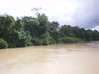Foto do anúncio Terrain sur la rivière de Counamama Iracoubo Guiana Francesa #6