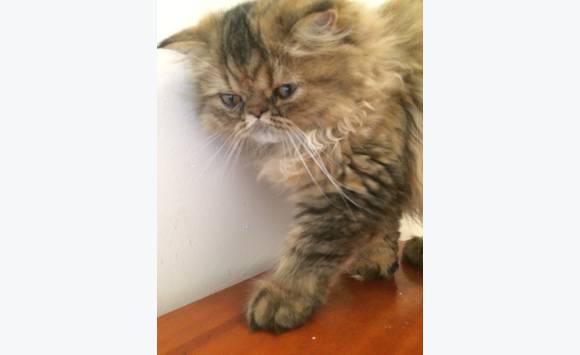 Chat sexe maubeuge