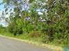 Photo de l'annonce Terrain 10 025 m² Montsinéry-Tonnegrande Guyane #0