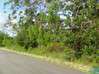 Photo de l'annonce Terrain 10 186 m² Montsinéry-Tonnegrande Guyane #0