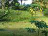 Photo de l'annonce Villa Morne Balai Basse Pointe T5 Basse-Pointe Martinique #1