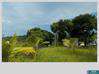 Photo de l'annonce Terrain Petit-Bourg Petit-Bourg Guadeloupe #2
