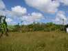 Photo de l'annonce Terrain de 600m² à Roura Roura Guyane #0