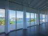 Photo de l'annonce Luxury Hillside Villa with Stunning Ocean Views Cay Bay Sint Maarten #5