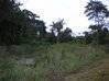 Photo de l'annonce Terrain agricole à Iracoubo Iracoubo Guyane #2