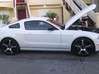 Photo for the classified mustang v6 2014 Saint Martin #0