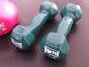 Photo for the classified fitness dumbbells Saint Martin #1