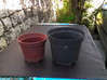 Photo de l'annonce Pots pour vos plantes Guadeloupe #2