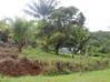 Photo de l'annonce Terrain à bâtir Matoury Matoury Guyane #0