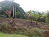 Photo de l'annonce Terrain à bâtir Matoury Matoury Guyane #1