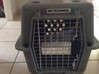 Photo de l'annonce Cage de transport pour chat ou chien Saint-Martin #0