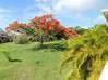 Photo for the classified Villa 3 rooms with sea view Friar's Bay Saint Martin #10
