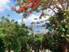 Photo for the classified 1BR/1BA Apartment — Pelican Key - ref n° P01 Sint Maarten #16