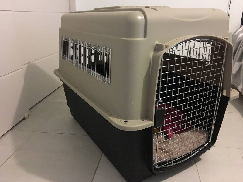 Pet travel carrier / dog travel box 