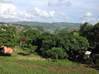 Photo de l'annonce Le Lamentin Palmiste/Acajou Nord. Le Lamentin Martinique #0