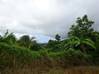 Photo de l'annonce Riviere E Petit Bourg terrain -. Rivière-Salée Martinique #3