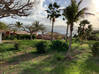 Photo de l'annonce terres basses 3/4 chambres + jardin face lagon Terres Basses Saint-Martin #0