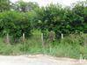 Photo de l'annonce Terrain 5 000 m² Montsinéry-Tonnegrande Guyane #0