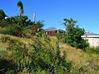 Photo for the classified Property With Rental Potential Uniquel Saint Martin #2