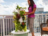 Photo for the classified Tower Garden / hydroponics Saint Barthélemy #1
