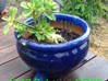 Photo for the classified Garden vacuum potted plants / jar Saint Martin #17