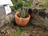 Photo for the classified Garden vacuum potted plants / jar Saint Martin #30