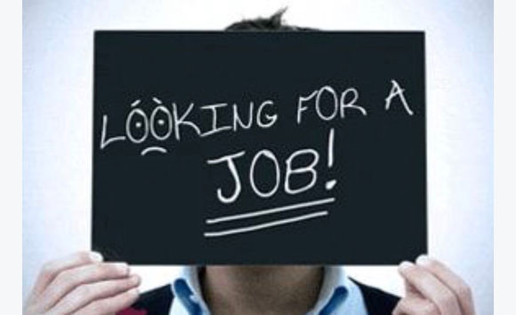Jf Research Job Wanted Employment Saint Barthelemy Cyphoma