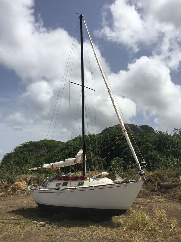 Voilier c&c 8. 3mtr Voiliers Guadeloupe • Cyphoma