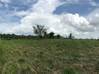 Photo de l'annonce Terrain agricole Montsinery Tonnegrande Cayenne Guyane #0