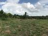 Photo de l'annonce Terrain agricole Montsinery Tonnegrande Cayenne Guyane #2