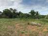 Photo de l'annonce Terrain agricole Montsinery Tonnegrande Cayenne Guyane #3