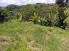Photo de l'annonce Riviere E terrain 3 821m2 Rivière-Salée Martinique #0