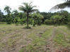 Photo de l'annonce Macouria terrain Macouria Guyane #0