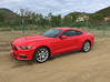 Photo for the classified Ford Mustang 50th Anniversary Saint Martin #0