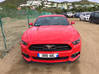 Photo for the classified Ford Mustang 50th Anniversary Saint Martin #4