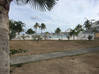 Photo de l'annonce studio baie nettle laguna Cole Bay Sint Maarten #14
