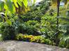 Photo de l'annonce Maison F5 sur terrain 3300 m2 Le Marin Martinique #2