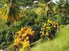 Photo de l'annonce Maison F5 sur terrain 3300 m2 Le Marin Martinique #3