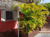Photo de l'annonce Meublés étoiles** clim, terrasse, piscine, WIFI Sainte-Anne Guadeloupe #3