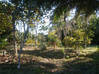 Photo de l'annonce Terrain agricole à Roura Roura Guyane #3